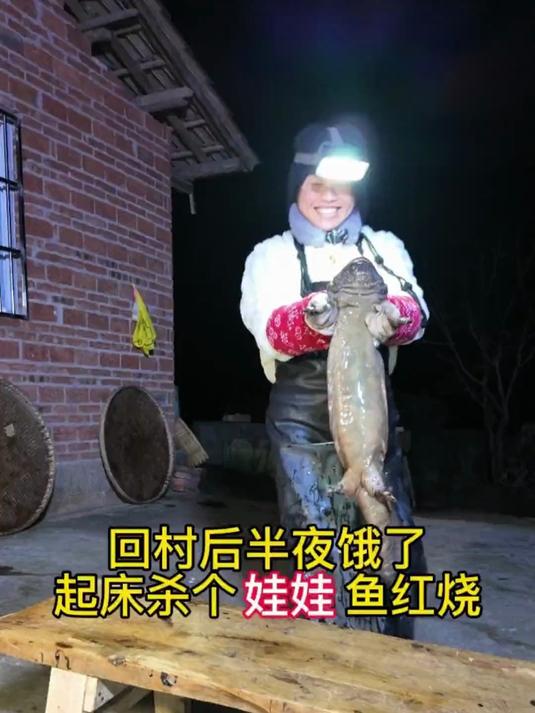 回村后半夜饿了咋办？起床杀个养殖的娃娃鱼红烧