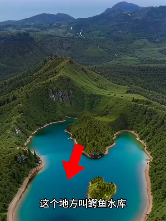 鳄鱼捉青蛙，不是谁都能压的住