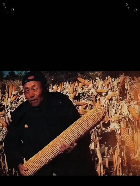 大鱼大肉吃腻了吃点粗粮大碴粥嘎嘎香!