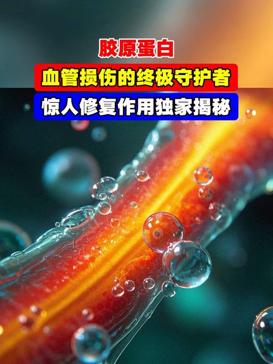 胶原蛋白,血管损伤的终极守护者,惊人修复作用独家揭秘