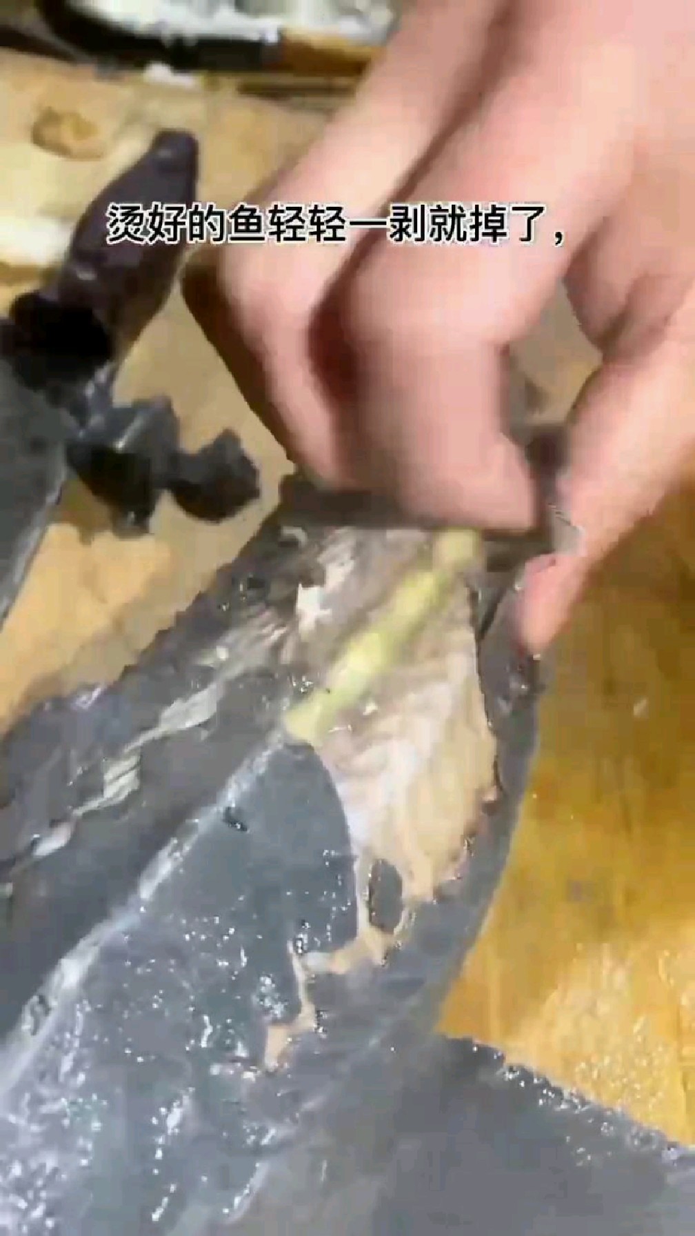 鲟龙鱼(养殖的)去鱼皮后再炖,更入味。