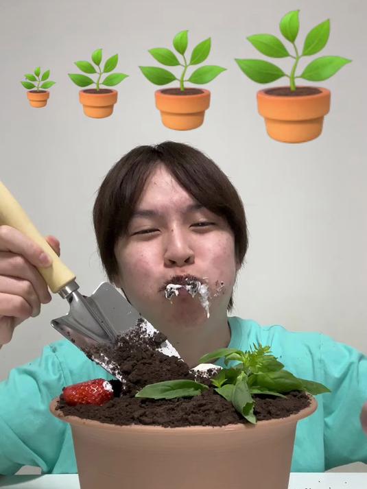 可食用的盆栽蛋糕,味道不错哟~ 拍摄道具