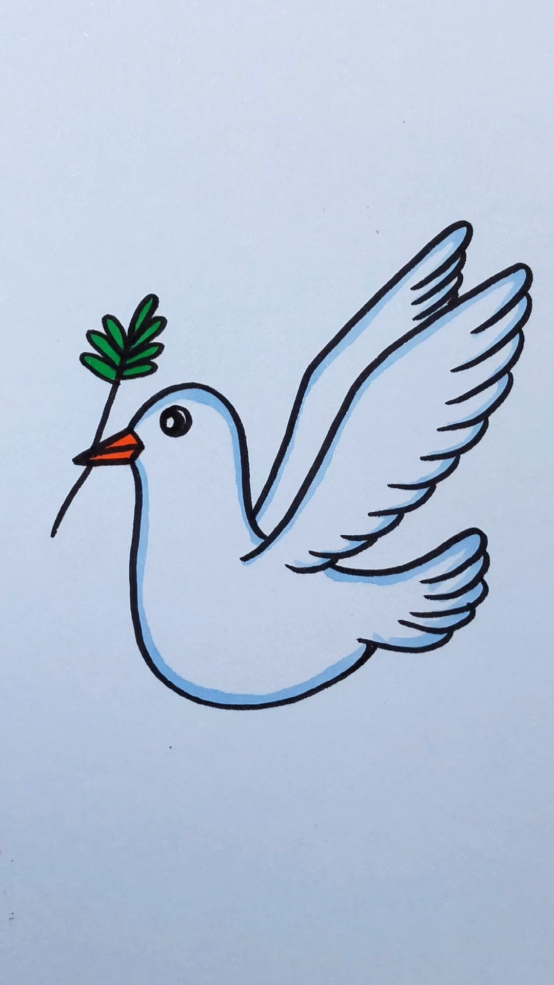 简笔画鸽子。