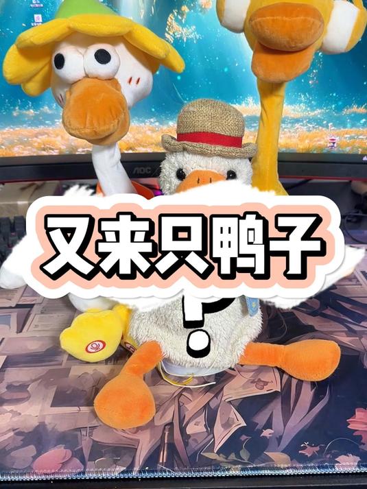 我又买来两只鸭子