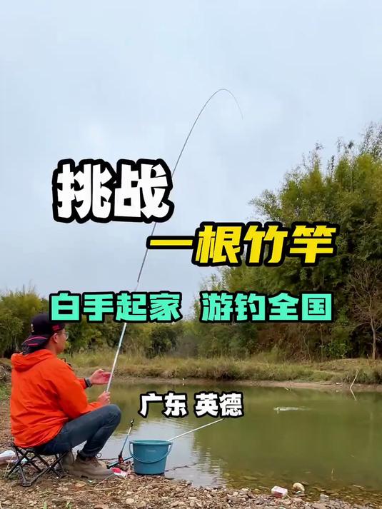 不到巴掌大的水坑里，竟然有好多鱼，鲤鱼，罗非，白鲢还有新鱼种