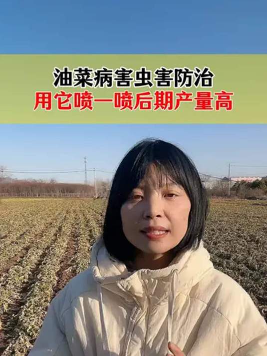 油菜病虫害咋防治?用它就对啦,保高产!