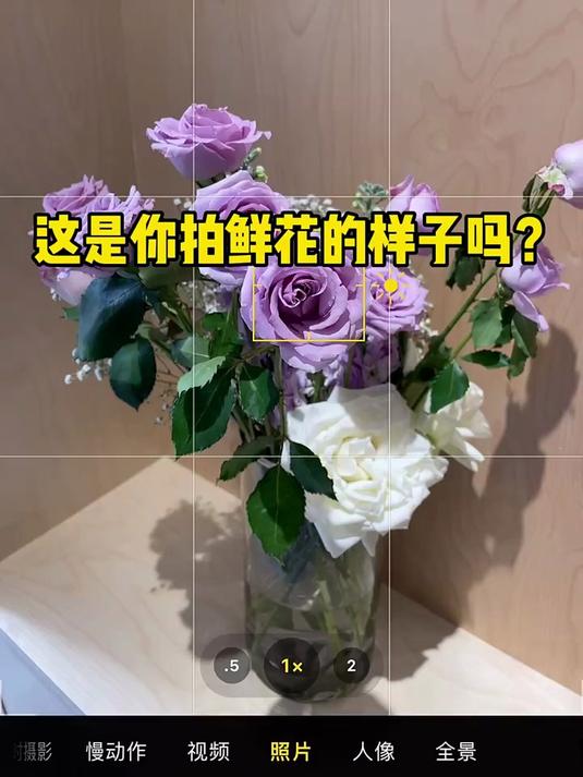 30秒手机摄影秘籍，轻松拍出鲜花氛围感大片