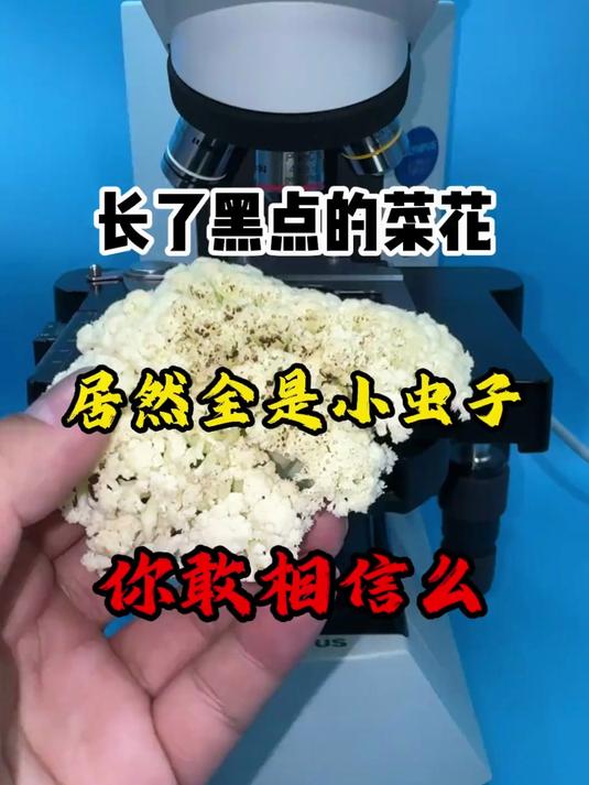 显微镜下的世界-96  长了黑点的菜花还能吃吗？#科普#