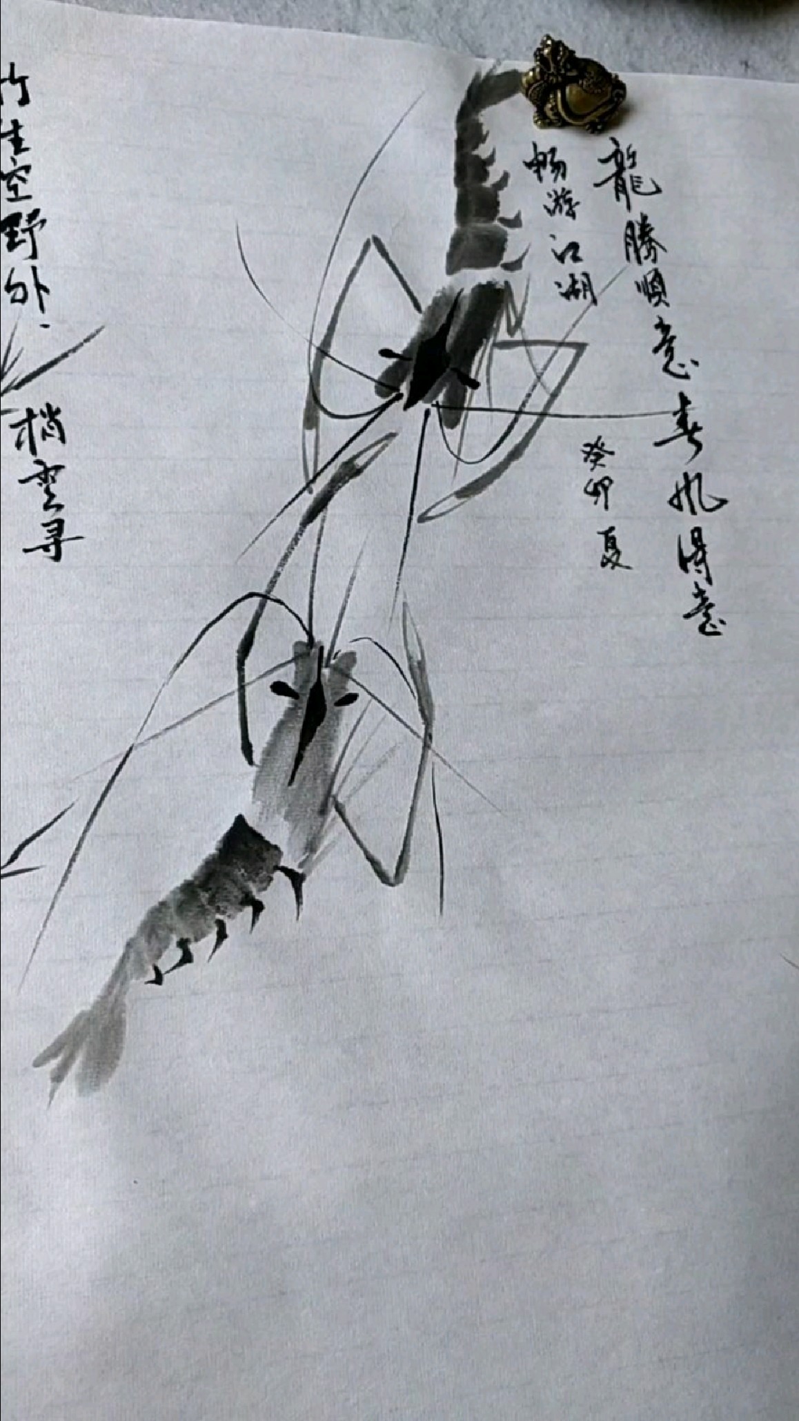 写意虾的画法《二七二》