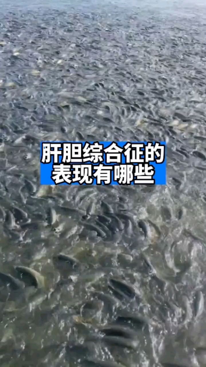 水产养殖肝胆综合征有哪些表现