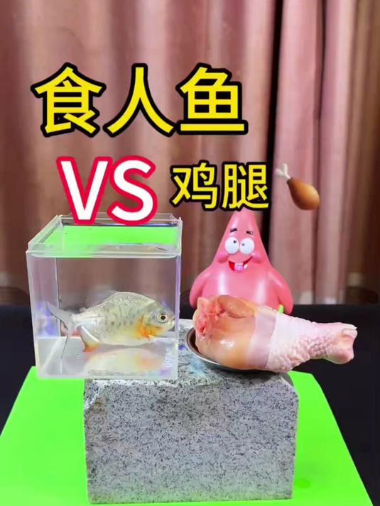 食人鱼和鸡腿