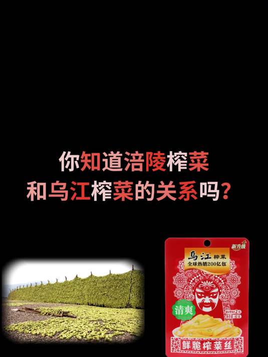 涪陵榨菜or乌江榨菜，傻傻分不清楚？连AI都被绕晕了！