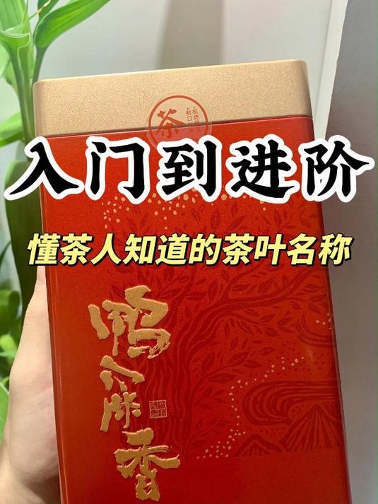 入门到进阶,懂茶人一定知道的茶叶名