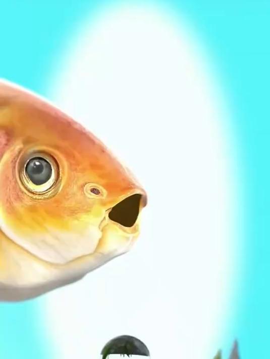 当鱼吸水时，水流会流向其纤薄如羽毛的结构鳃