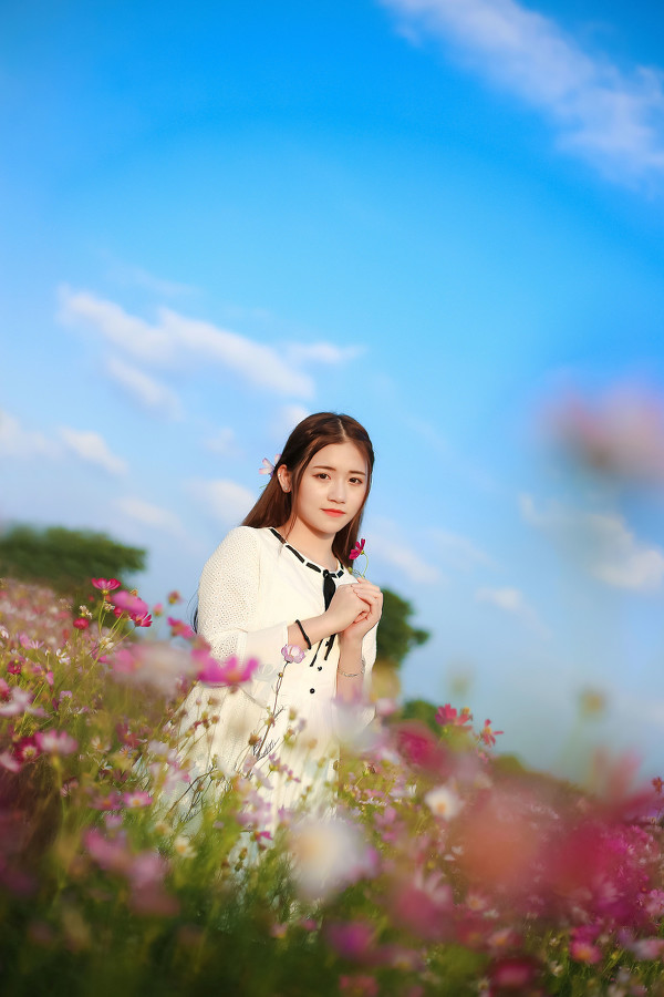 图片[21]-格桑花-六色网