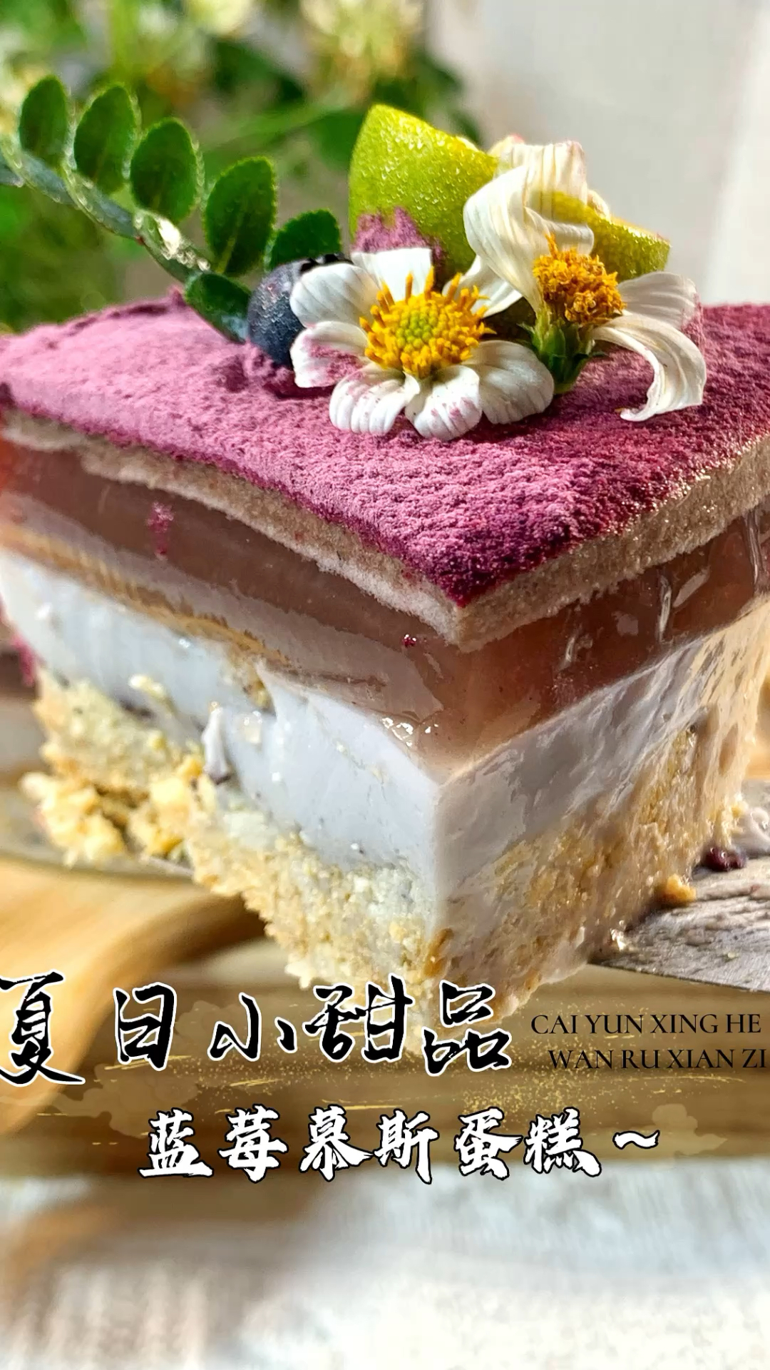 免烤箱!一次就成功的蓝莓慕斯蛋糕