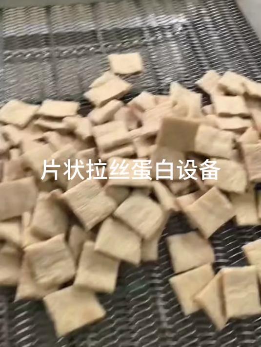大豆拉丝蛋白块生产线手撕素肉素牛排胚子加工设备
