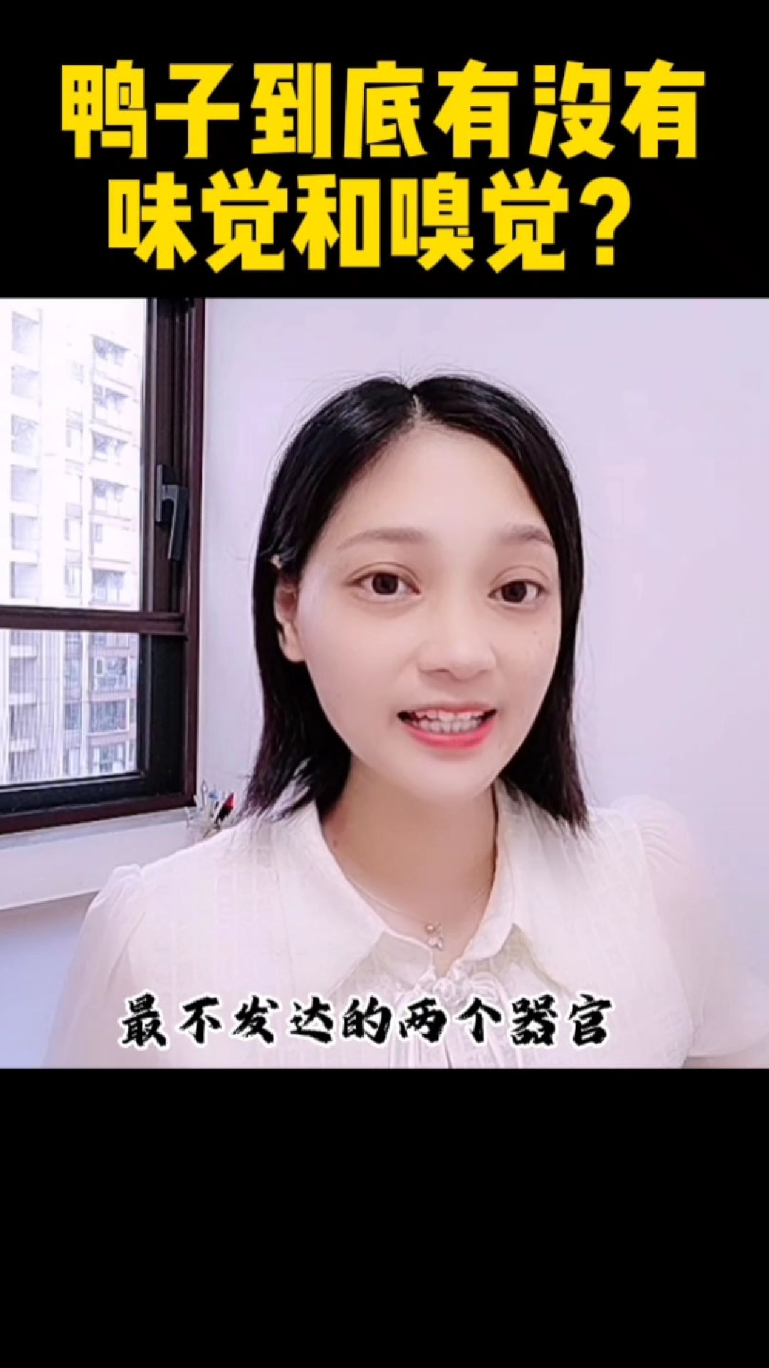 鸭子到底有没有味觉和嗅觉?