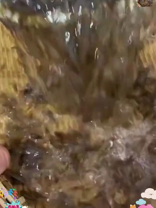 高钙小虾皮,替代鸡精味精,天然提鲜超安心