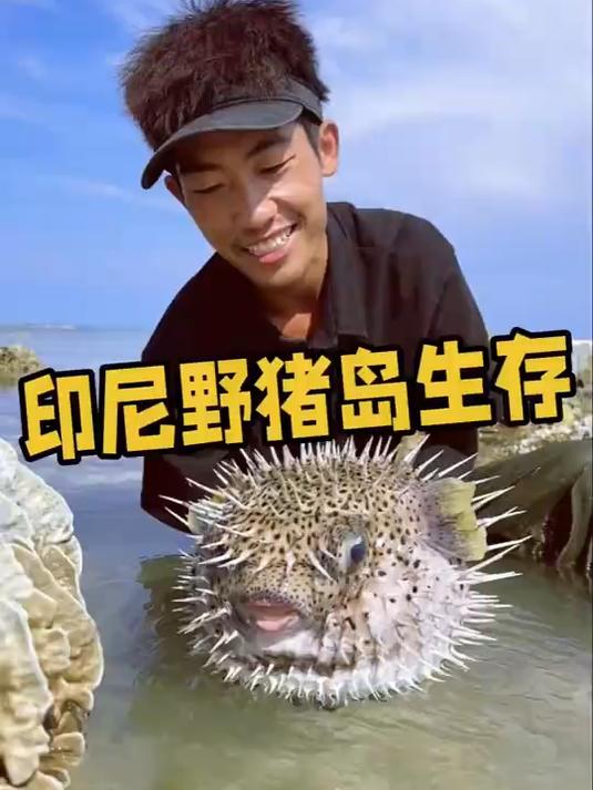 制作捕羊装置后开始找食物,各种海螺,龙虾,皮皮虾,巨型螃蟹