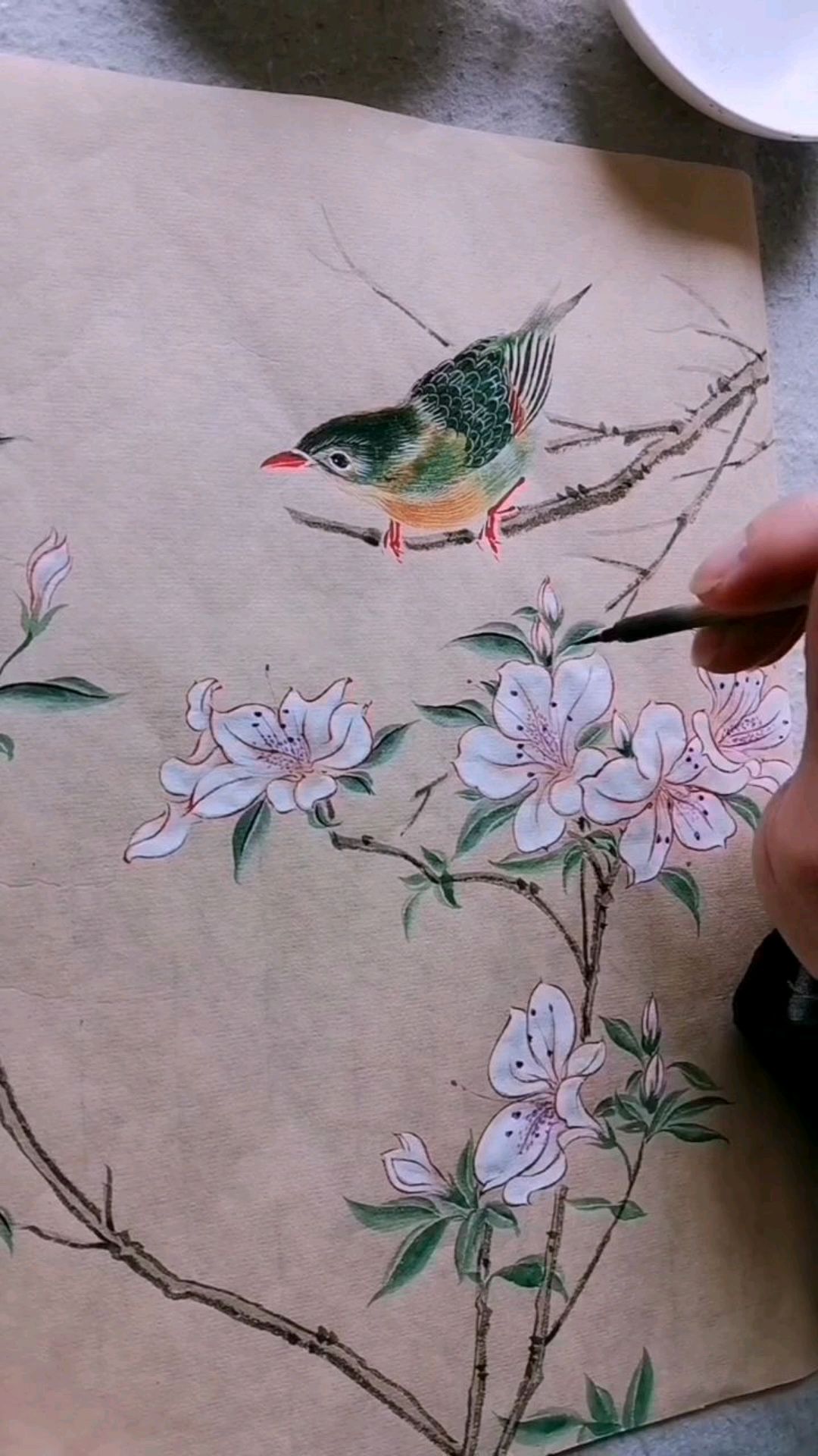 画一幅白色的杜鹃花