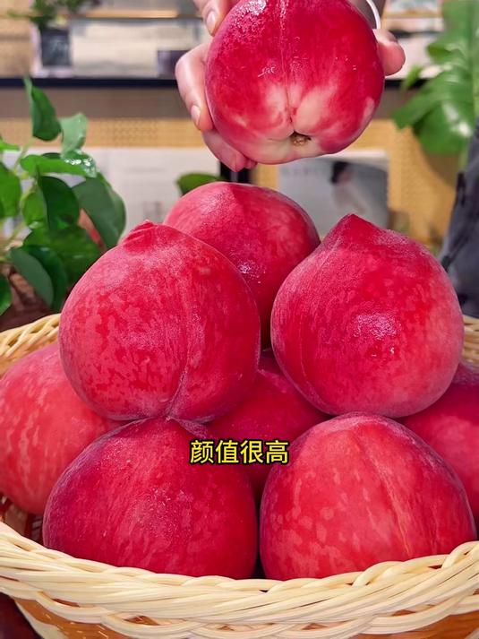 自然日照养出的水蜜桃，甜度均衡，不会一味发腻。#种草官计划#