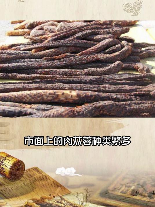 如何辨别真假肉苁蓉?