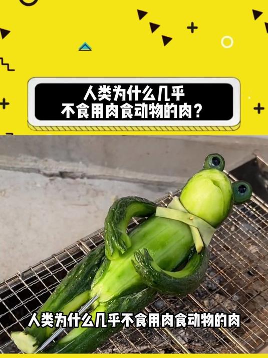 人类为什么几乎不食用肉食动物的肉