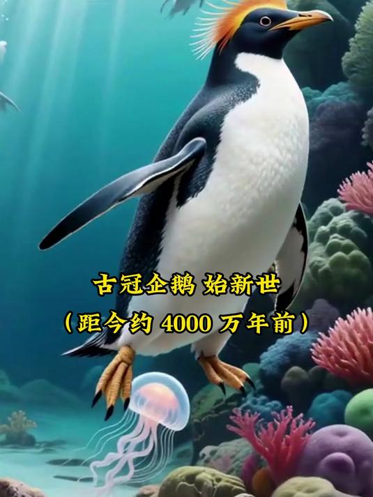 企鹅进化之路：从飞鸟到潜水高手