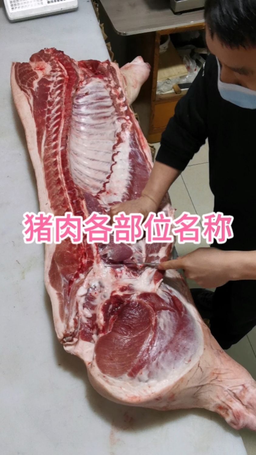详细了解猪肉各部位名称,买肉不吃亏