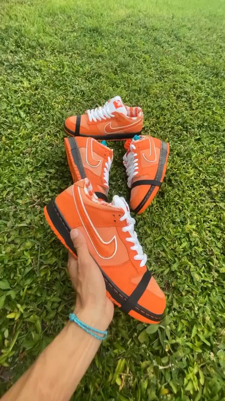 今日分享的是 Concepts x Nike SB Dunk Low“橙龙虾”All De