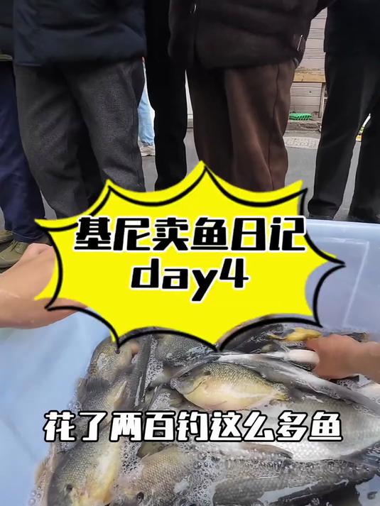 太阳鱼就这么不受欢迎吗?看来以后不能去钓太阳鱼了～
