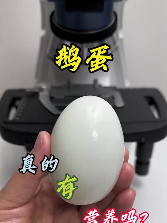 鹅蛋为什么这么贵?我们这都是按个卖的,你们那呢?