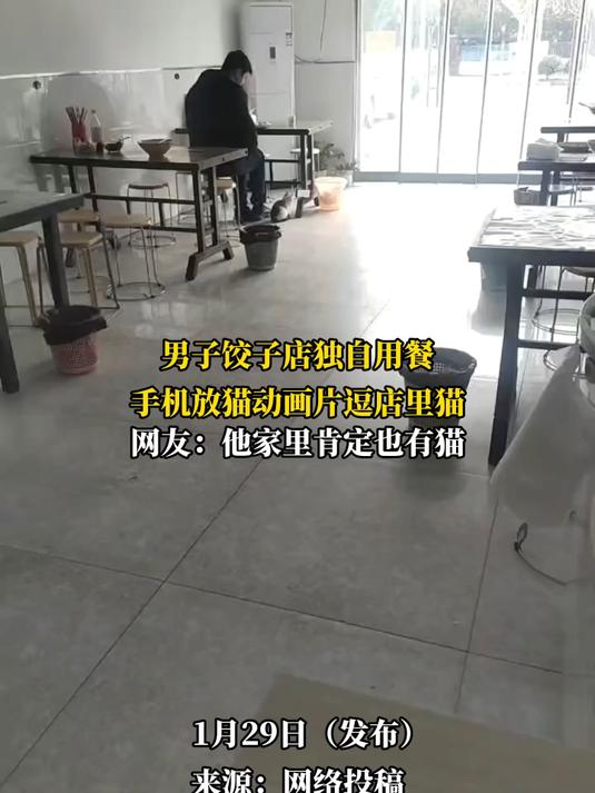 男子饺子店独自用餐,手机放猫动画片逗店里猫