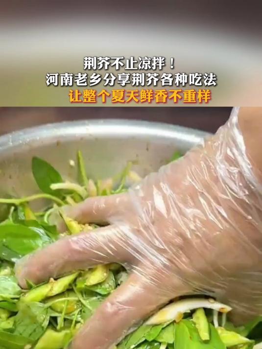 荆芥不止凉拌！河南老乡分享荆芥各种吃法、