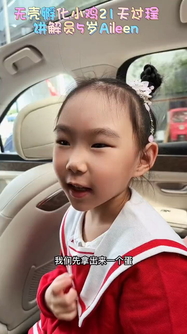 小鸡无壳孵化过程讲解5岁Aileen