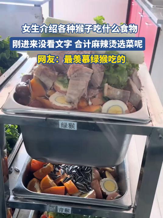 女生介绍各种猴子吃什么食物,刚进来没看文字 合计麻辣烫选菜呢