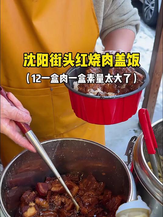 东北街头12一份的红烧肉盖饭，这量太大了！