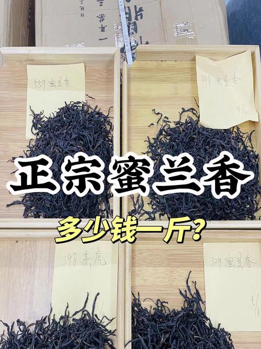 正宗蜜兰香多少钱一斤?揭秘蜜兰香价格体系