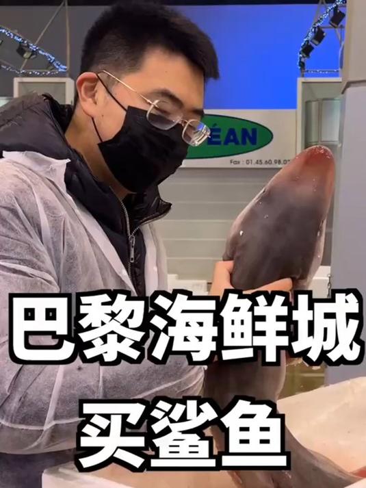 逛法国海鲜市场,这样的鲨鱼应该怎么做?