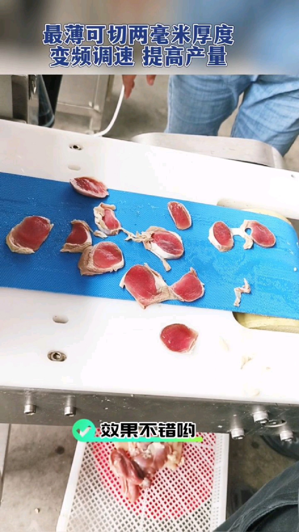 鸡胗切片效果不错呀#鸡胗切片机#鸭胗切片机#鸭胸肉切片机
