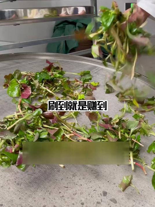 日本鱼腥草茶功效实测,坚持1个月见效果