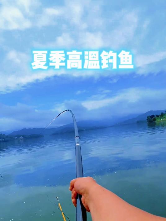 夏季高温钓鲫鱼怎么钓
