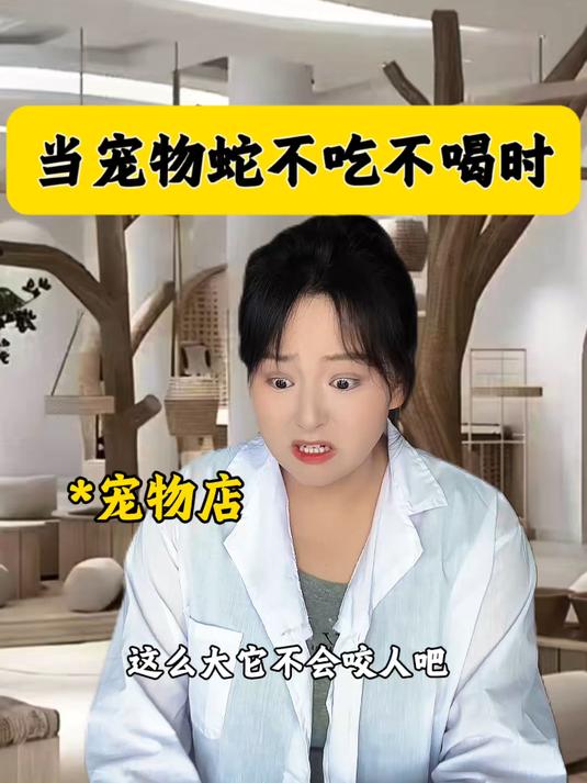 当宠物蛇不吃不喝时 #宠物##蛇##一人分饰多角#