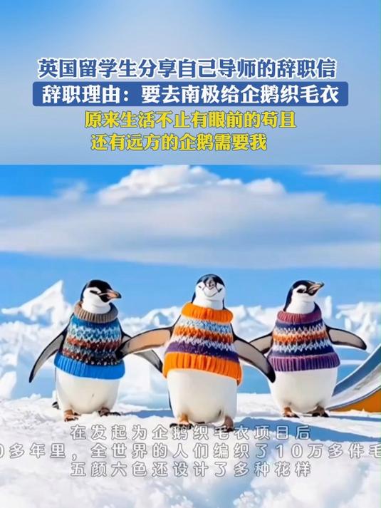 留学生分享自己导师的辞职信,辞职理由:要去南极给企鹅织毛衣
