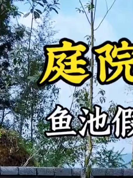 我把院子这个不起眼的角落,打造成全村都来围观的锦鲤鱼池#庭院鱼池##鱼池假山##小院改造#