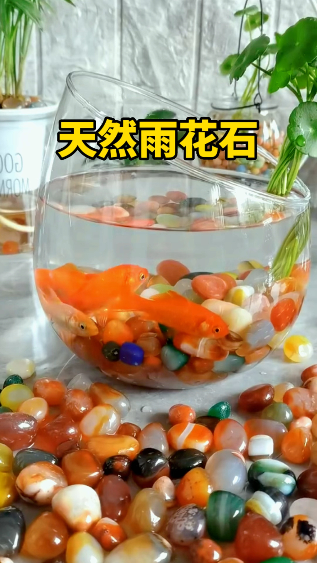 天然雨花石,晶莹剔透,用它来鱼缸造景,水培植物,花盆铺面都是不错的选择