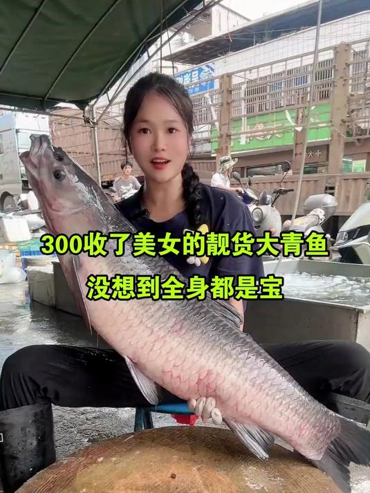 300收了美女的靓货大青鱼,没想到全身都是宝