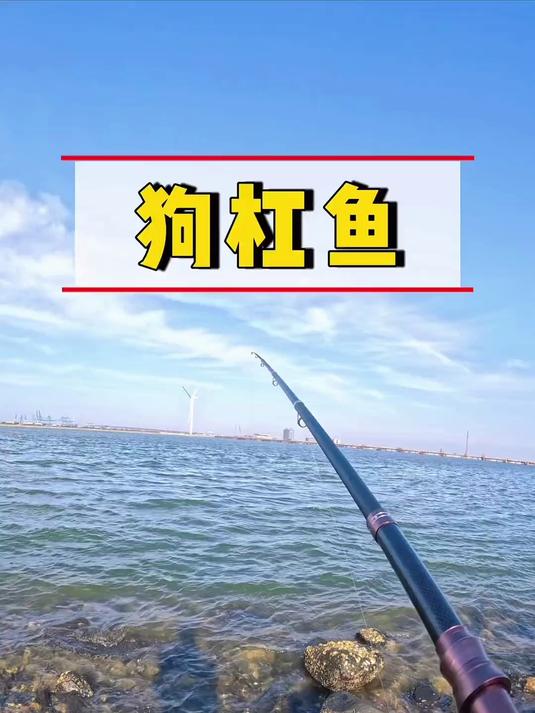 进货式钓鱼法