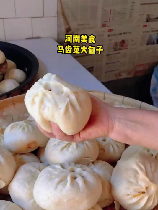 当然要吃马齿苋大包子啦